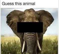 1000005367.jpg