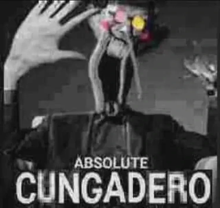 ABSOLUTE CUNGADERO.png