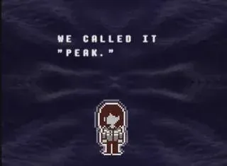 WE CALLED IT PEAK.png