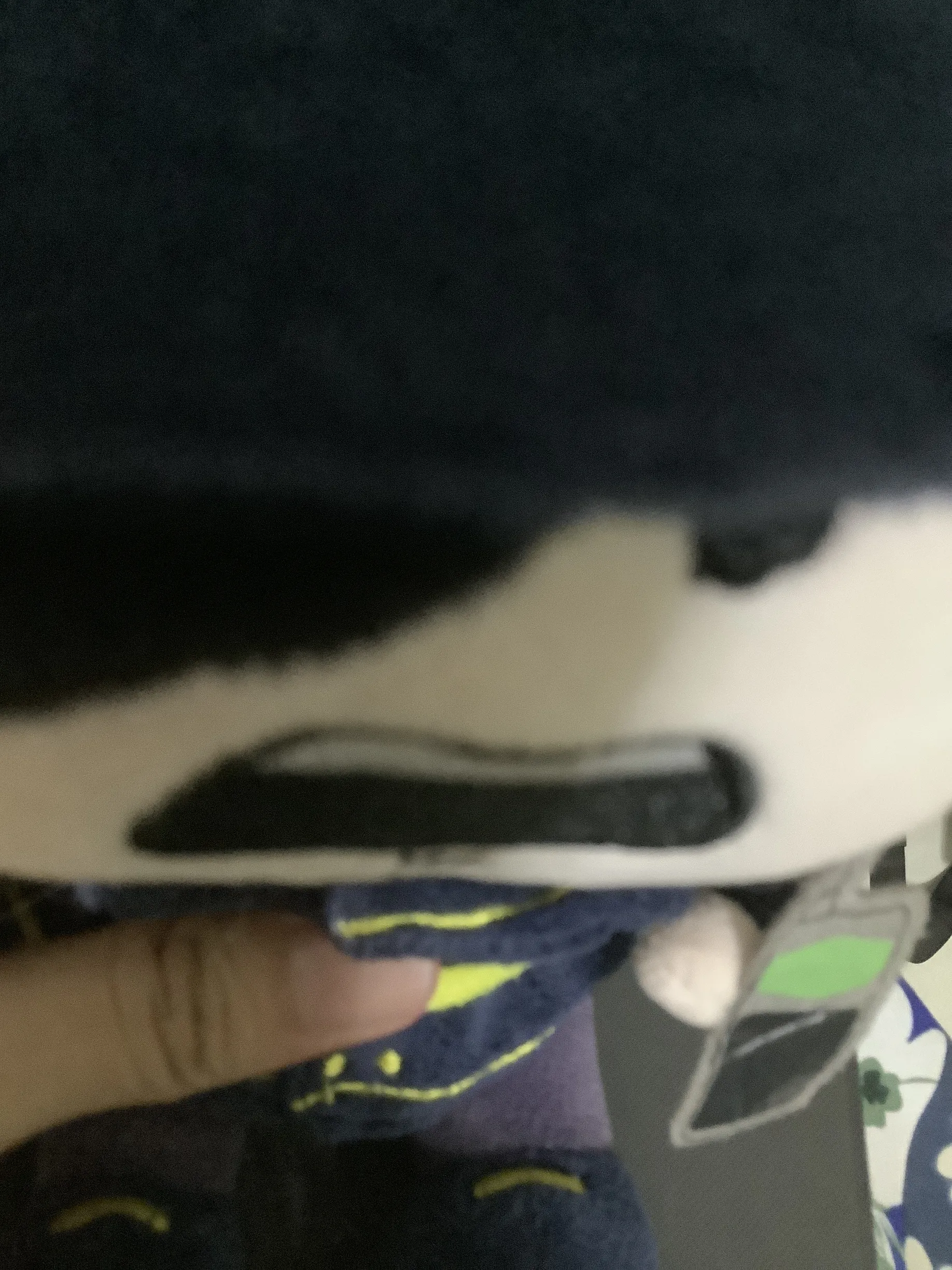 IMG_2398.jpeg