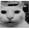 File:Png Bot6.png