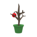 Former Xmas Icon (28 January 2024 – 21 August 2026)