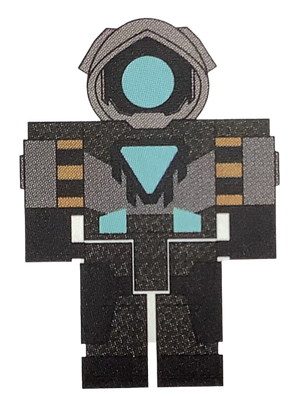 2D Image