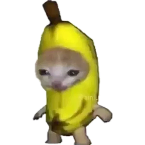 Cat 10