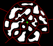 A mock-up of the path of the map.