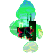 Green variant, current version, second animation variant (11 June 2025 – Present)