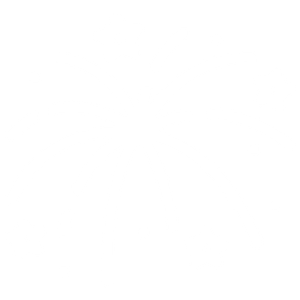 FireworkBuffIcon.png