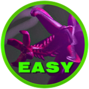 Primordial Drakobloxxer on the Night III Easy badge.
