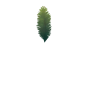Leaves that appear around the text.