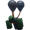 Lead Balloon