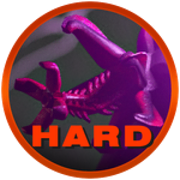 Primordial Drakobloxxer on the Night III badge.