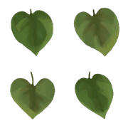 Leaves that appear around the text.