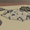 Area 51