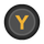 Y button