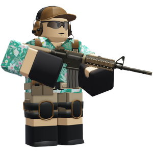 BeachMilitant2.png