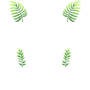 Leaves that appear around the text.