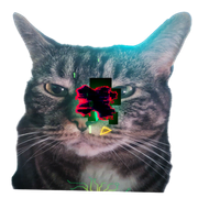 Green variant, current version, fifth cat variant (11 June 2025 – Present)