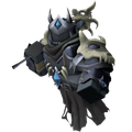 Fallen Necromancer