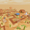 Warm Land