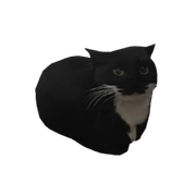 Png Bot3 on its Index icon.