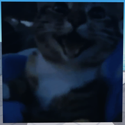 Second Corpse variant, current version, third cat variant (12 March 2025 – Present)