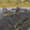 Construction Crazy