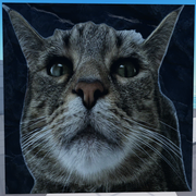 Second Corpse variant, current version, sixth cat variant (12 March 2025 – Present)