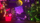 Lunar Overture Event