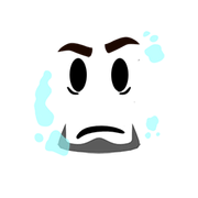 Current Default Face (20 December 2024 – Present)