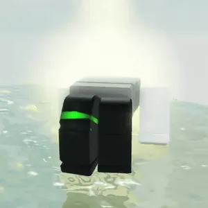 Animation
