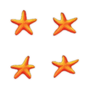 Starfish that appear on the text.