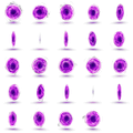 Thumbnail for version as of 17:47, 15 October 2026