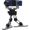 Sentry