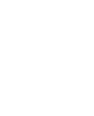 SlowedIcon.png