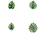 Leaves that appear around the text.