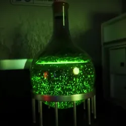 Serum Zero